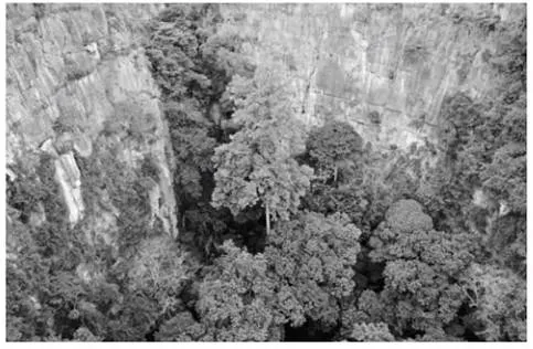 植被专题2025年高考真题 第20张