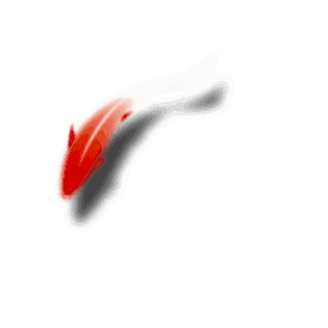 深圳中考走读调剂解读 第5张