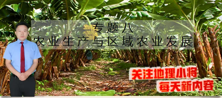 高考微专题《高考真题分类官方解析》:区域农业生产特点(选自“农业生产、区域农业发展”) 第4张