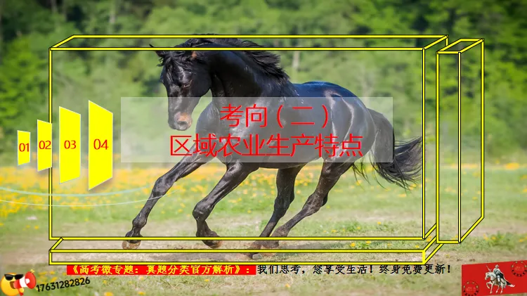 高考微专题《高考真题分类官方解析》:区域农业生产特点(选自“农业生产、区域农业发展”) 第12张