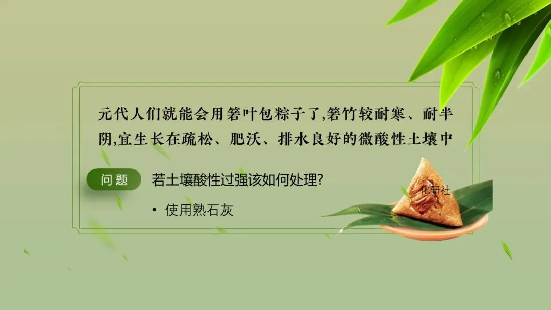 【中考化学复习课件】话说粽子——酸碱盐专题复习 第12张