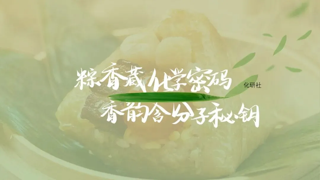 【中考化学复习课件】话说粽子——酸碱盐专题复习 第23张