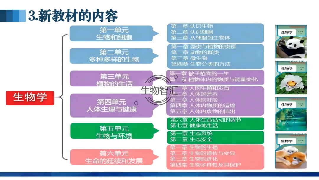 【中考讲座课件】2026年聚焦命题研究·夯实校本教研(新中考·新命题·新备考) 第16张