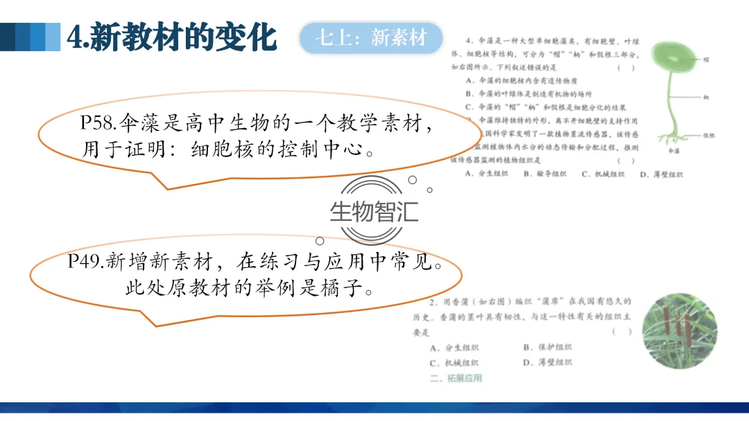 【中考讲座课件】2026年聚焦命题研究·夯实校本教研(新中考·新命题·新备考) 第18张
