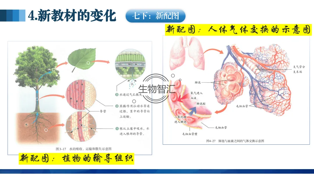 【中考讲座课件】2026年聚焦命题研究·夯实校本教研(新中考·新命题·新备考) 第22张