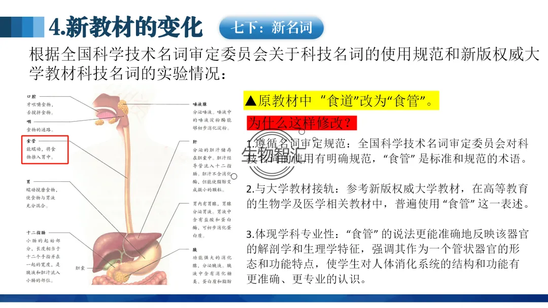 【中考讲座课件】2026年聚焦命题研究·夯实校本教研(新中考·新命题·新备考) 第26张