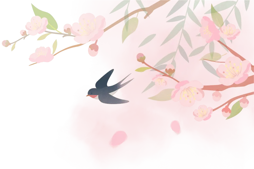 中考数学最后80 天初三必看 第1张