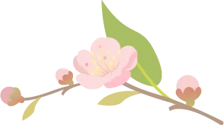 中考数学最后80 天初三必看 第7张