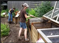 2023-2025高考真题题目-环境保护 第2张