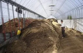 2023-2025高考真题题目-环境保护 第4张