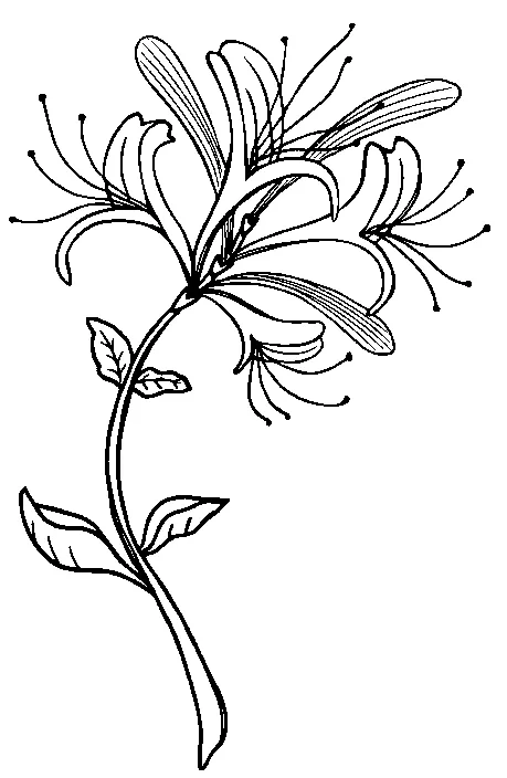 【考点真题汇编】20260402农业区位因素及其变化2025年高考分类汇编 第4张