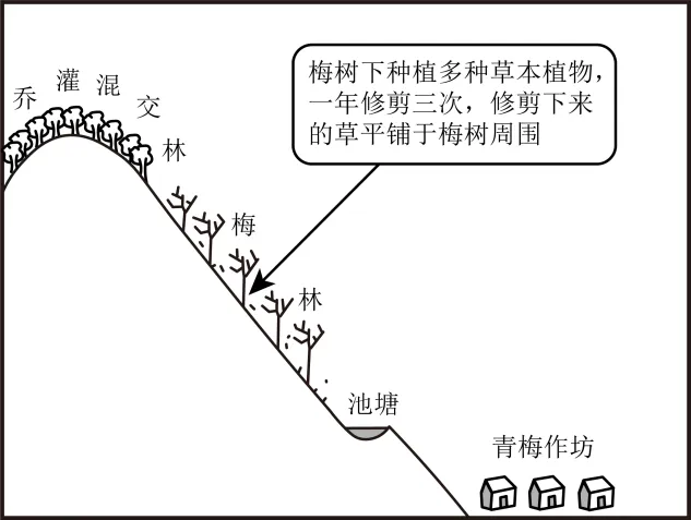 【考点真题汇编】20260402农业区位因素及其变化2025年高考分类汇编 第19张