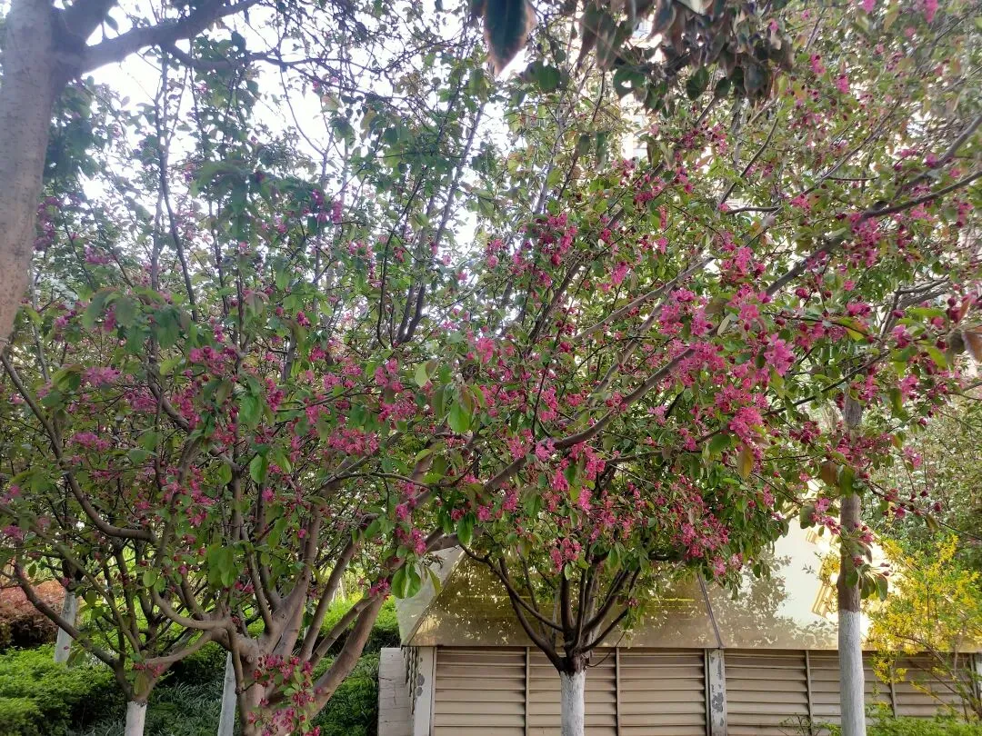 2026河南中考物理模拟试卷及答案解析 第7张