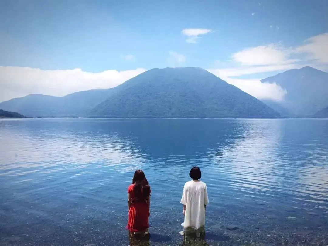 2026年中考一模九年级数学试卷及答案 第11张