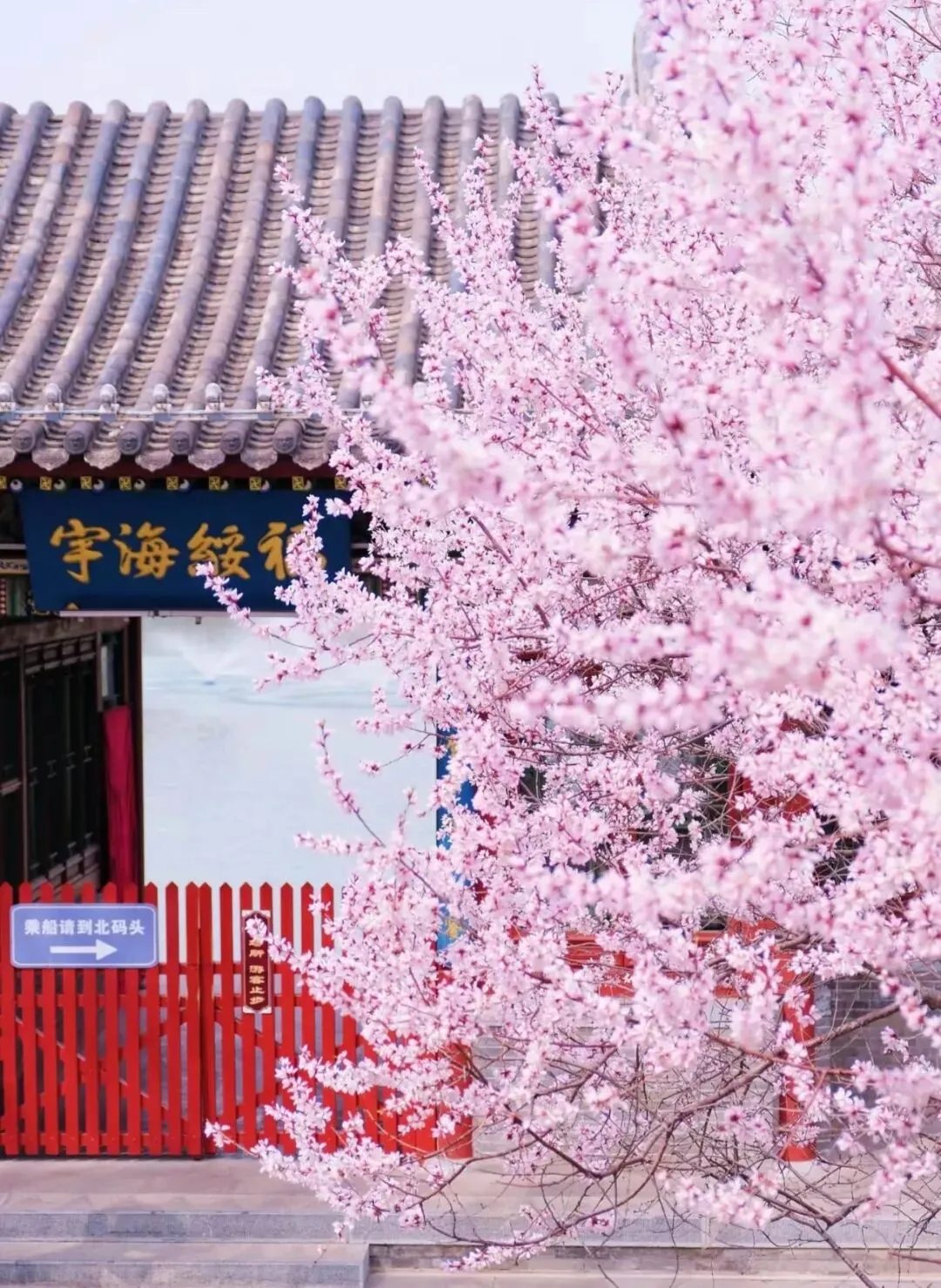 【全科下载】2026年中考模拟试卷三月份新卷汇总(九套高清无水印) 第2张