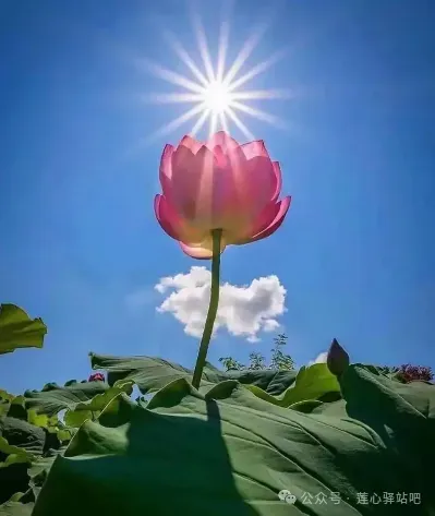 考研.考研(真题、初试、复试)(内蒙古师范大学) 第3张