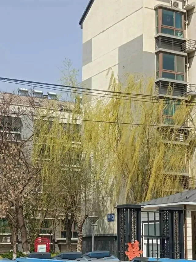 3月28日真题:某次周末,科长联系小丁,多次打电话都没有接听.科长批评了他.小丁很委屈你作为同事和朋友,你要怎么劝说他?请现场模拟. 第2张