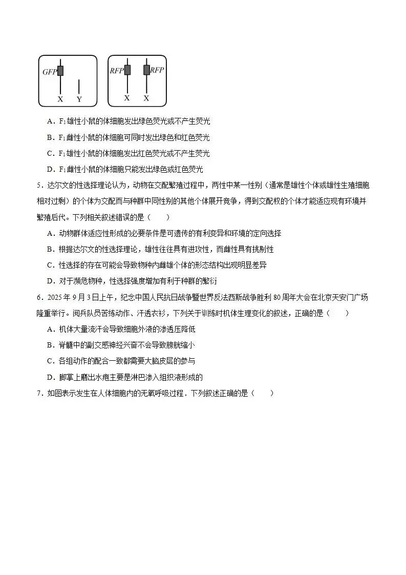 《高中试卷》湖北省十堰市2026届高三上学期元月调研考试(一模)生物(含答案) 第3张