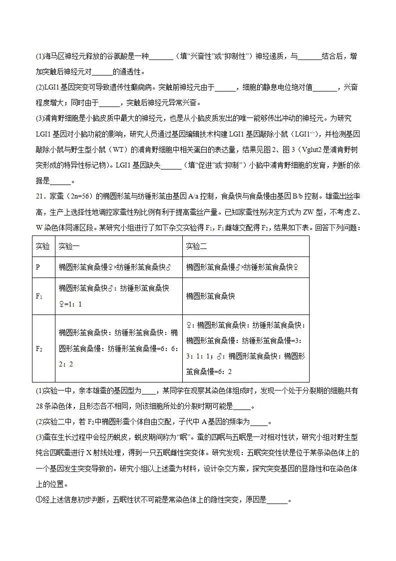 《高中试卷》湖北省十堰市2026届高三上学期元月调研考试(一模)生物(含答案) 第11张