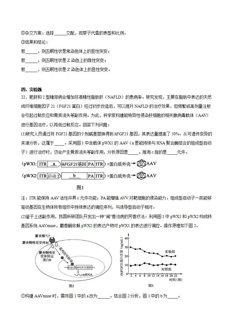 《高中试卷》湖北省十堰市2026届高三上学期元月调研考试(一模)生物(含答案) 第12张