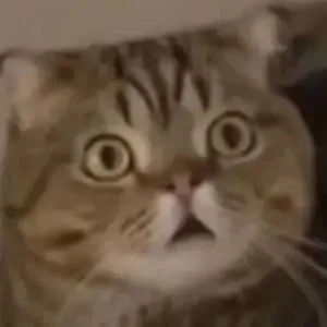 买了真题纠结三天,买杯奶茶眼都不眨?专升本花钱图鉴,太真实了! 第16张