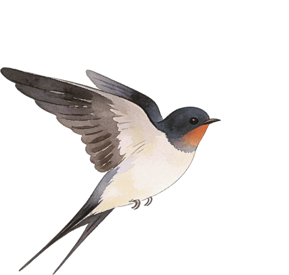 2026年金山&奉贤高三二模数学试卷 第16张