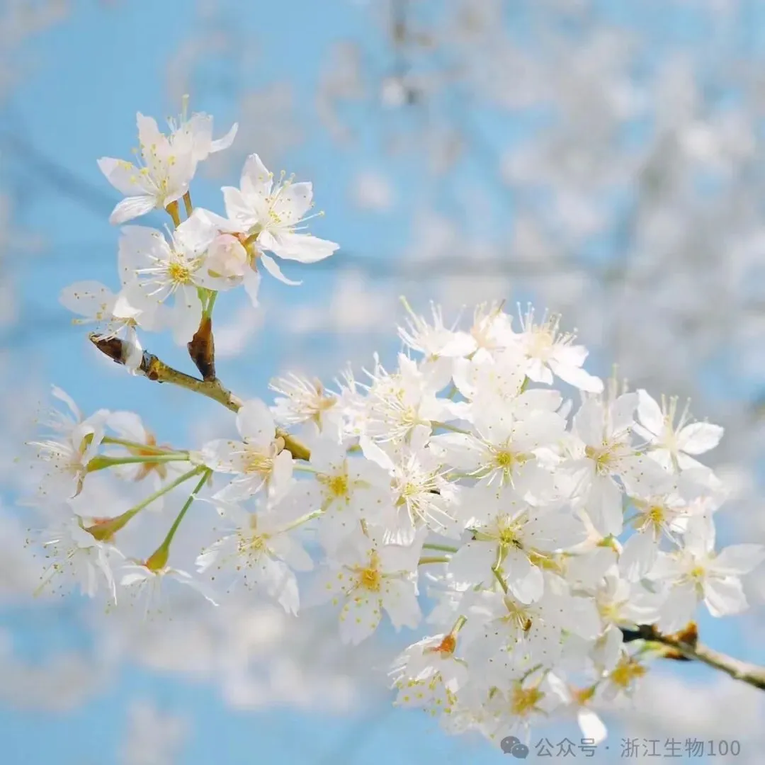 2026年3月浙江省高中生物竞赛试卷和答案 第19张