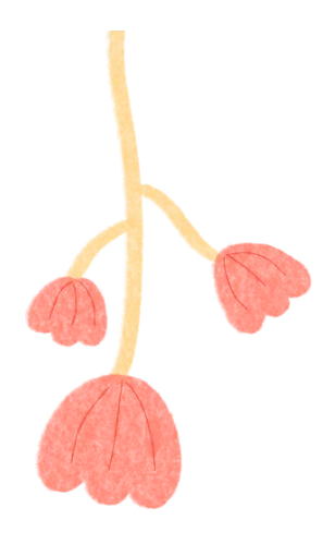 研训赋能备中考 壮腰送教促提升——三明市2026年初中“壮腰”工程学科指导活动走进永安 第4张