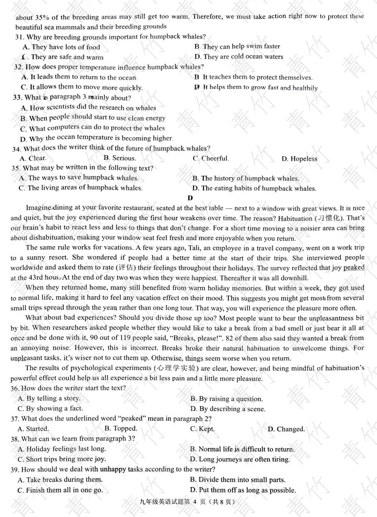 26年历下区中考一模英语试卷:试卷答案,超详解析,作文范文模板来!! 第18张