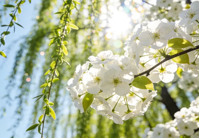 真题契合! 清职院专升本考前资料获好评!!! 第1张