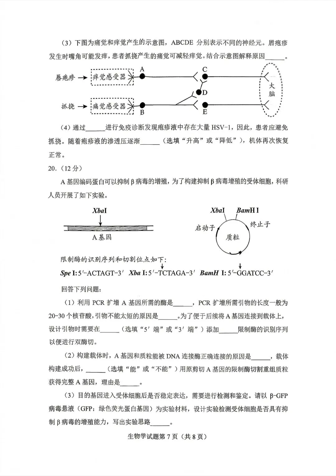 试卷速递|2026年贵州省普通高中学业水平选择性考试科目适应性测试生物学试卷及答案 第7张