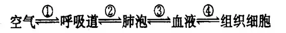 2020年广州中考生物真题(含答案) 第8张