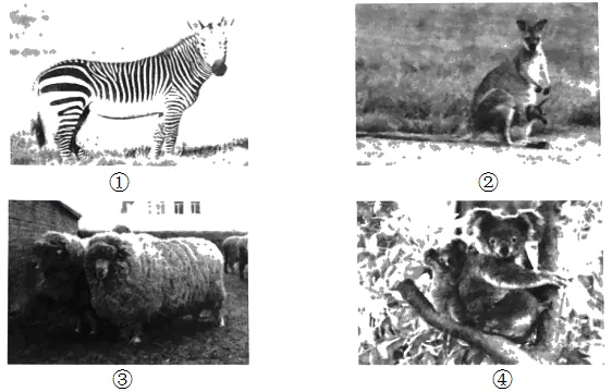 2020年广州中考地理真题(含答案) 第25张