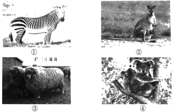 2020年广州中考地理真题(含答案) 第51张
