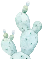 【中考一模试卷】2026学年郑州市经开区外国语中学一模试卷 第13张