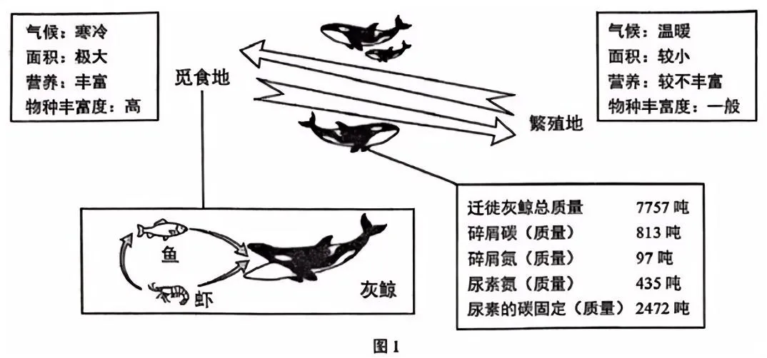 【高考真题】2025年上海市普通高中学业水平等级性考试生物学试卷 第2张