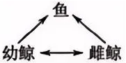 【高考真题】2025年上海市普通高中学业水平等级性考试生物学试卷 第3张