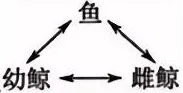 【高考真题】2025年上海市普通高中学业水平等级性考试生物学试卷 第4张