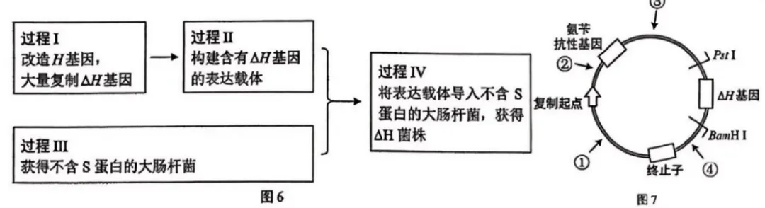 【高考真题】2025年上海市普通高中学业水平等级性考试生物学试卷 第12张
