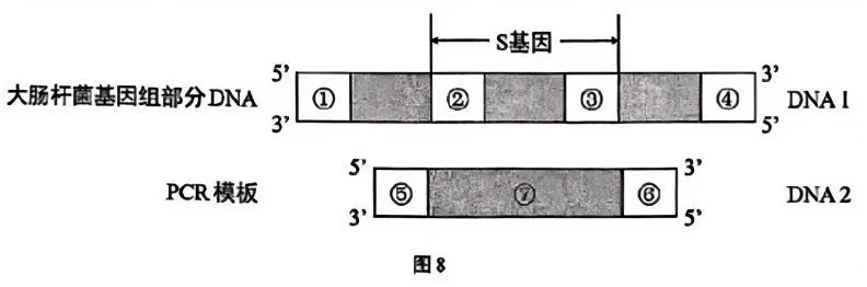 【高考真题】2025年上海市普通高中学业水平等级性考试生物学试卷 第13张