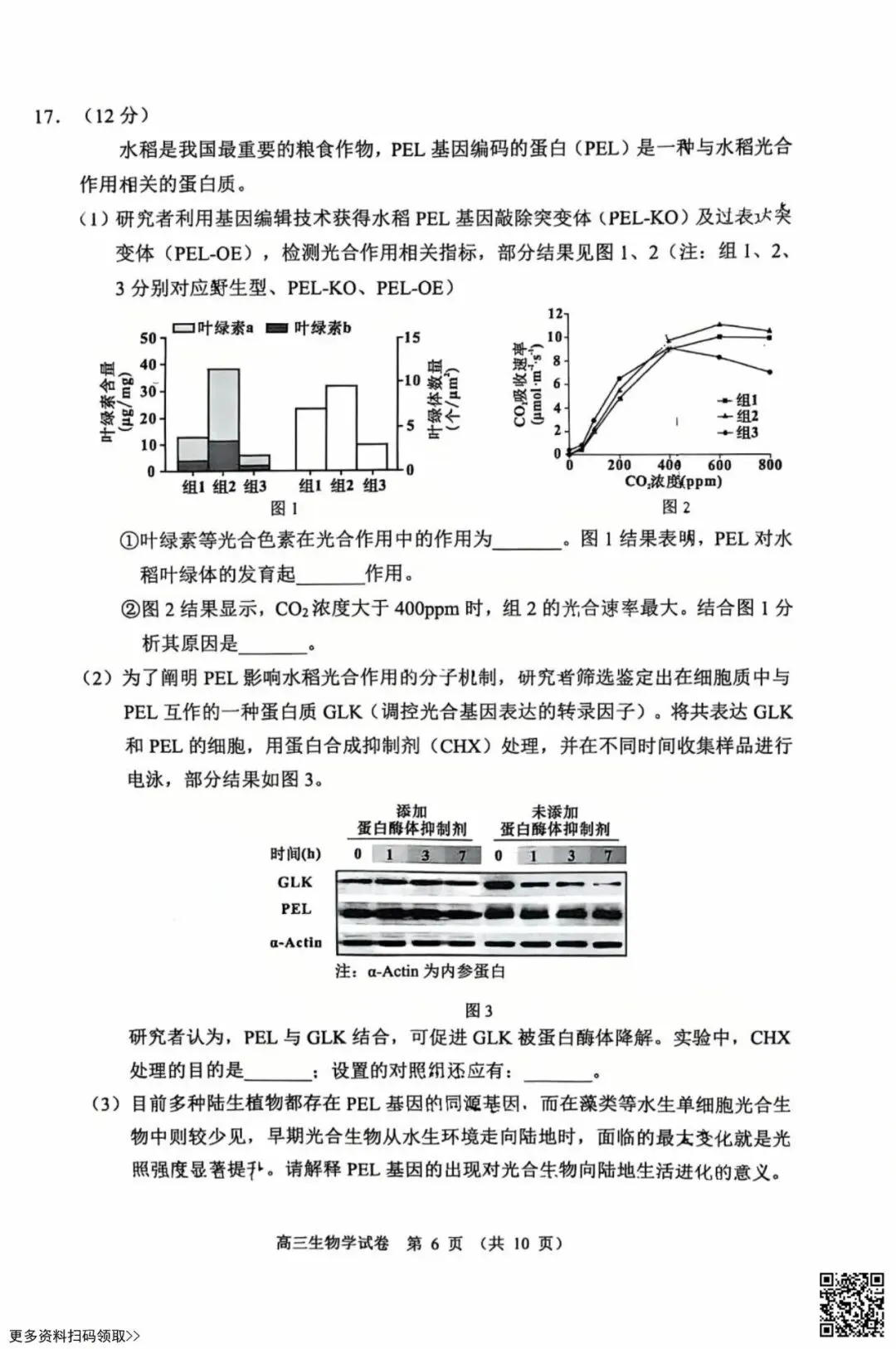 2026北京石景山高三一模生物试卷(含答案) 第6张