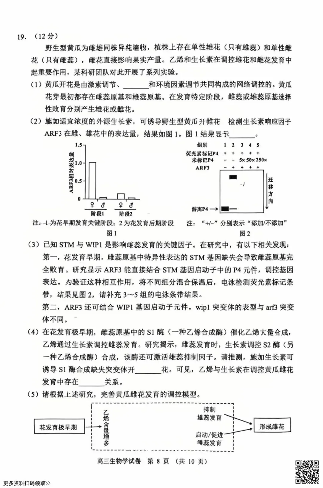 2026北京石景山高三一模生物试卷(含答案) 第8张