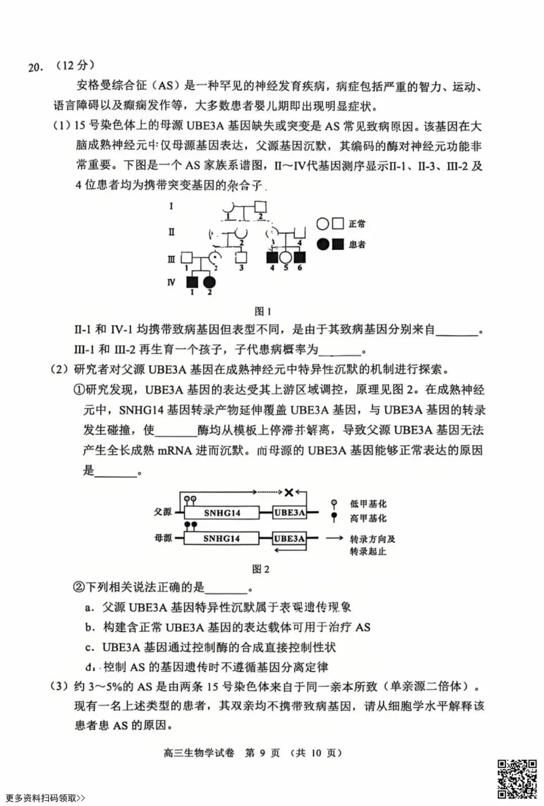 2026北京石景山高三一模生物试卷(含答案) 第9张