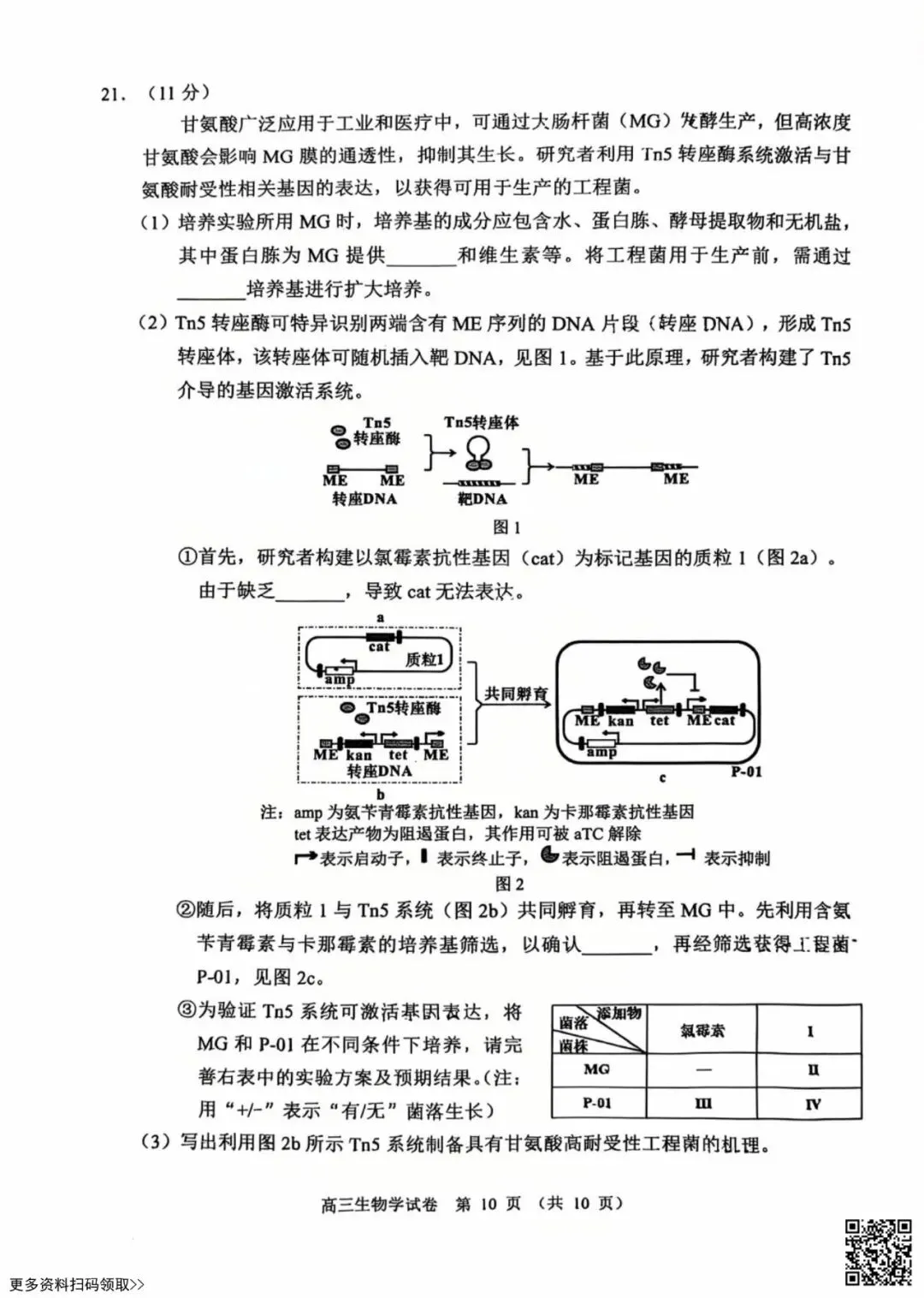 2026北京石景山高三一模生物试卷(含答案) 第10张