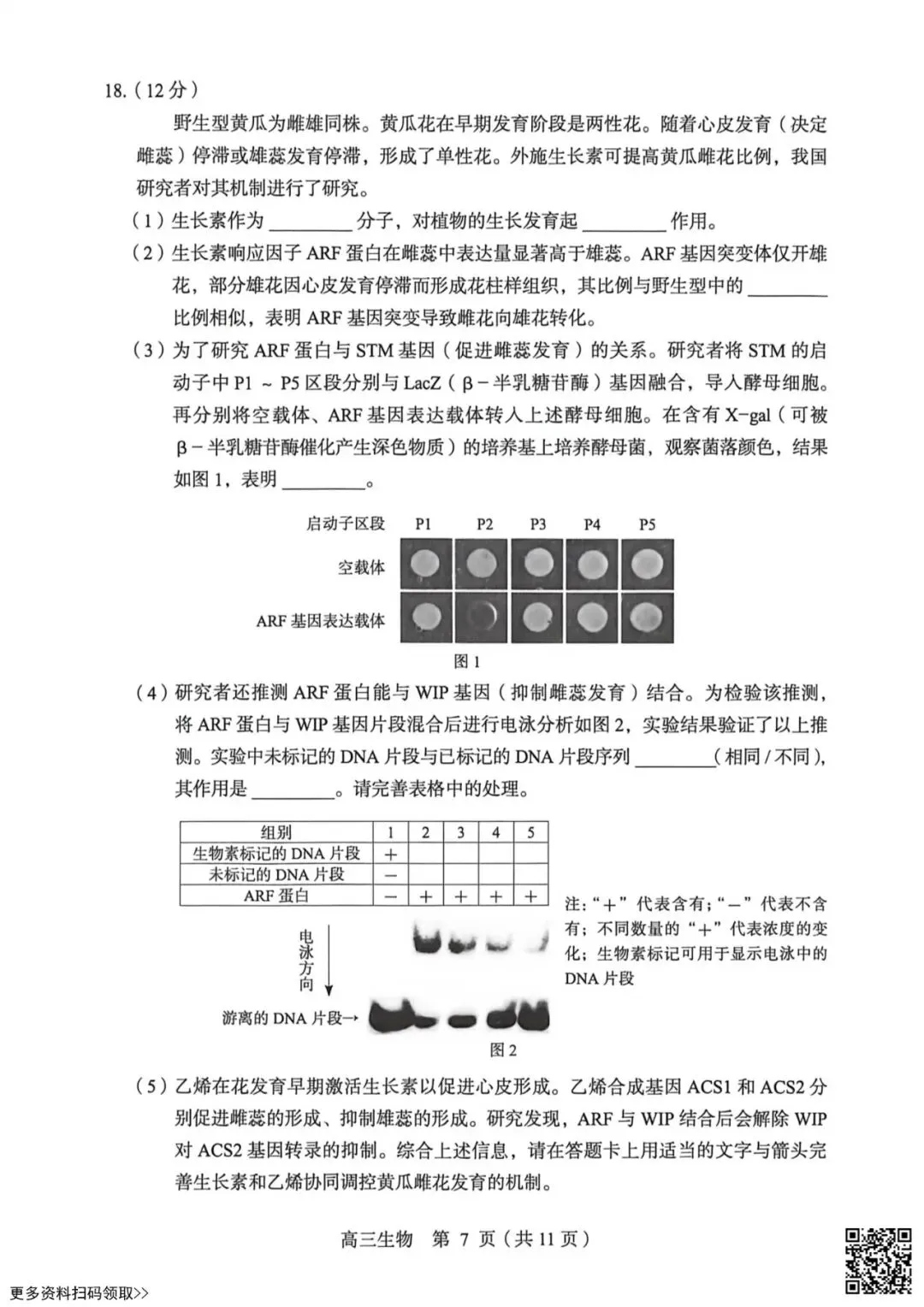 2026北京丰台高三一模生物试卷(含答案) 第7张