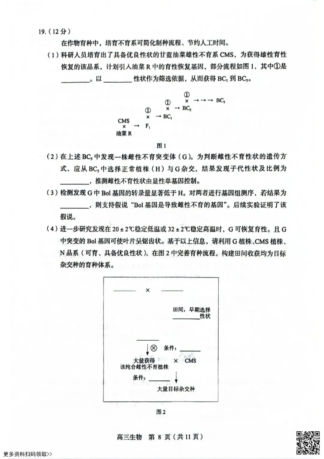 2026北京丰台高三一模生物试卷(含答案) 第8张