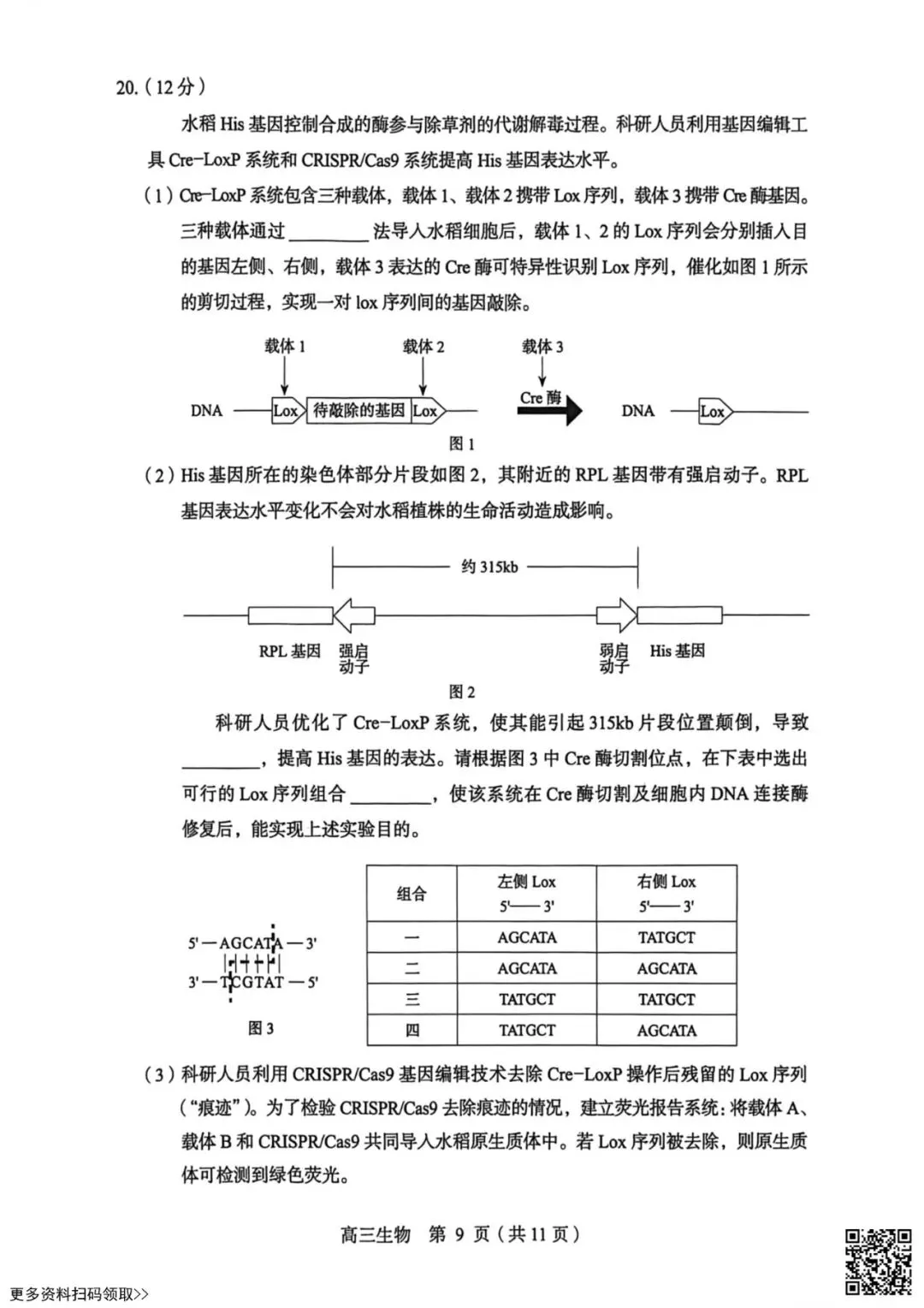 2026北京丰台高三一模生物试卷(含答案) 第9张