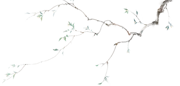 【总第64期】乌市二模试卷研析系列——作文 第14张