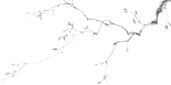 【总第64期】乌市二模试卷研析系列——作文 第31张