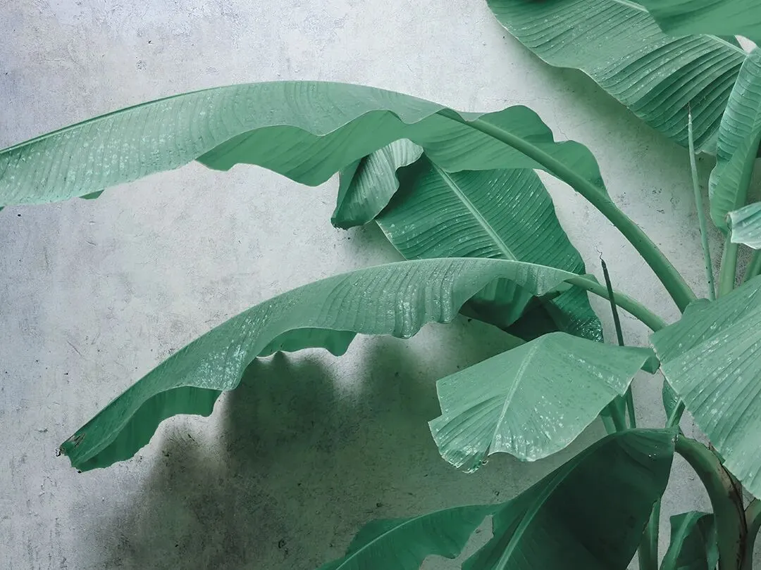 【总第64期】乌市二模试卷研析系列——作文 第40张